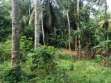 Bare Land for Sale at Belummahara, Gampaha.