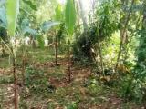 30 Perches Land for Sale in Ragama, Kandaliyadda Paluwa Road.