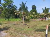 10 Perches Bare Land for Sale at Belummahara, Gampaha.