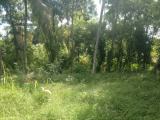 38 Perches Bare Land for Sale in Belummahara, Mudungoda.