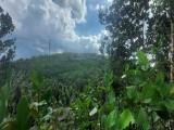Sloping Land for Sale in Baddegedera, Kospelawinna, Ratnapura.