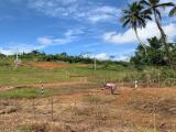 360 Perches Land for Sale in Yatadolawatta, Mathugama.