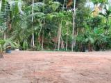 25 Perches Land for Sale at Ambagaspitiya, Yakkala.