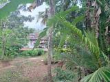 16 Perches Lands for Sale at Horagolla, Ganemulla.