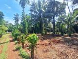 Residential Land blocks for Sale in Thammita, Gampaha.