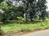 Valuable Land Property for Sale in Nawalamulla, Homagama.