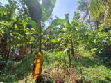 Valuable Land for sale in Ambaraluwa, Weliveriya.