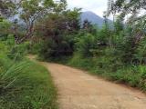 Valuable Eco-friendly Land for Sale – Belihuloya, Balangoda