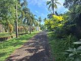 Highly Residential Land for Sale within Gampaha City Limits.