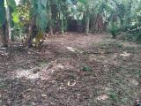 Exclusive Land for Sale – 50 Perches on Parakrama Road, Gampaha.