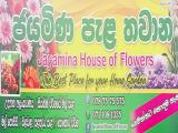 Jayamina House of Flowers