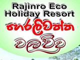 Rajinro Eco Holiday Resort Hakmana – Where Nature Meets Comfort