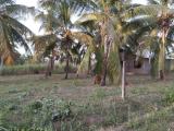 Residential Land for Sale – Hetti­pola (Raigam Waththa)